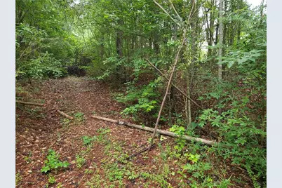 0 Potash Road, Cedartown, GA 30125 - Photo 5