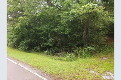 0 Potash Road, Cedartown, GA 30125 - Photo 11