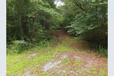 0 Potash Road, Cedartown, GA 30125 - Photo 3