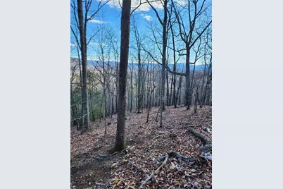 0 Trackrock Gap Road, Blairsville, GA 30514 - Photo 7