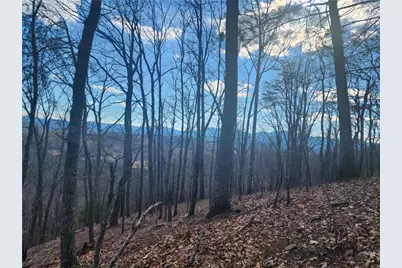 0 Trackrock Gap Road, Blairsville, GA 30514 - Photo 1