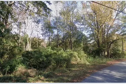 0 Harris Road, Ellerslie, GA 31807 - Photo 3