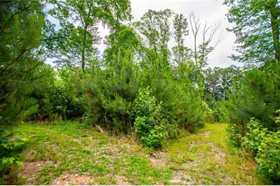 [Address not provided], Dallas, GA 30157 - Photo 39