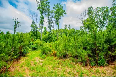 [Address not provided], Dallas, GA 30157 - Photo 45