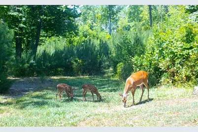 [Address not provided], Dallas, GA 30157 - Photo 5