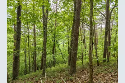 1331 Birch Lane NE, Ranger, GA 30734 - Photo 7