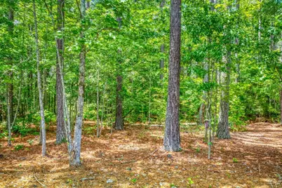 2529 Shockley Springs Drive, Monroe, GA 30656 - Photo 41