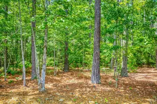 2529 Shockley Spgs Dr, Monroe, GA 30656 - Photo 41