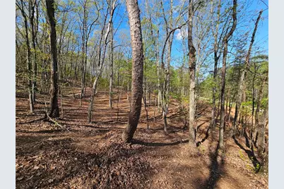 000 Old Federal Road, Dawsonville, GA 30534 - Photo 35