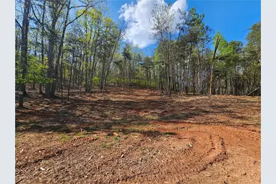 000 Old Federal Road, Dawsonville, GA 30534 - Photo 33