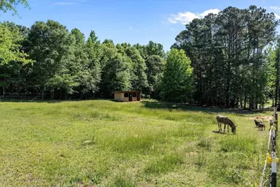 34 Harris Road, Carrollton, GA 30116 - Photo 45