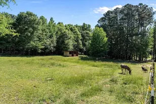 34 Harris Rd, Carrollton, GA 30116 - Photo 45