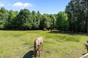 34 Harris Rd, Carrollton, GA 30116 - Photo 63