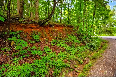 5.58 Gobbler Knob Drive, Ellijay, GA 30540 - Photo 15