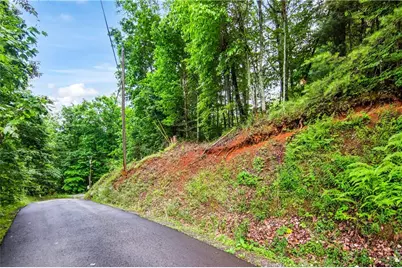 5.58 Gobbler Knob Drive, Ellijay, GA 30540 - Photo 9