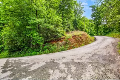 5.58 Gobbler Knob Drive, Ellijay, GA 30540 - Photo 7