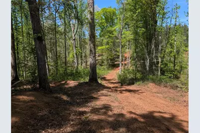 0 Magnum Lane, Pendergrass, GA 30567 - Photo 5