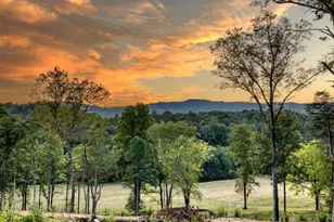 5664 Mobile Rd, Blue Ridge, GA 30513 - Photo 61