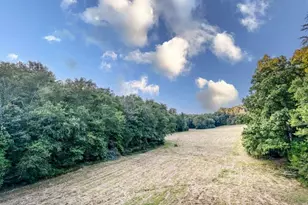 5664 Mobile Rd, Blue Ridge, GA 30513 - Photo 53