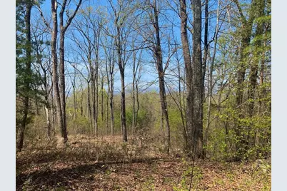 43.91 Old Burnt Mountain, Ellijay, GA 30540 - Photo 27
