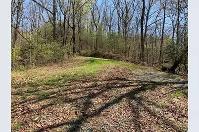 43.91 Old Burnt Mountain, Ellijay, GA 30540 - Photo 15