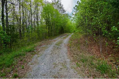 43.91 Old Burnt Mountain, Ellijay, GA 30540 - Photo 9