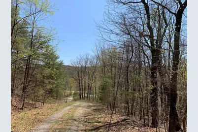 43.91 Old Burnt Mountain, Ellijay, GA 30540 - Photo 13