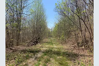 43.91 Old Burnt Mountain, Ellijay, GA 30540 - Photo 25