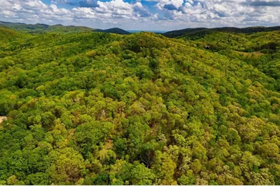 43.91 Old Burnt Mountain, Ellijay, GA 30540 - Photo 7