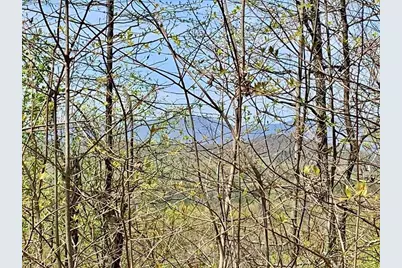 43.91 Old Burnt Mountain, Ellijay, GA 30540 - Photo 19