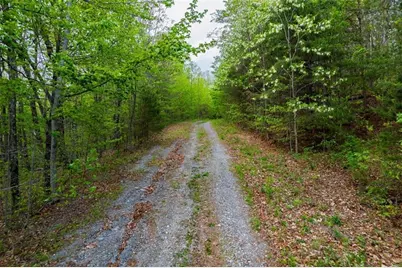 43.91 Old Burnt Mountain, Ellijay, GA 30540 - Photo 11