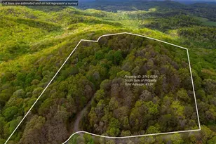 43 91 Old Burnt Mountain, Ellijay, GA 30540 - Photo 1