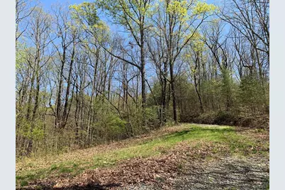 43.91 Old Burnt Mountain, Ellijay, GA 30540 - Photo 17