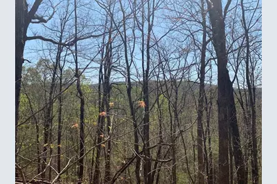 43.91 Old Burnt Mountain, Ellijay, GA 30540 - Photo 23