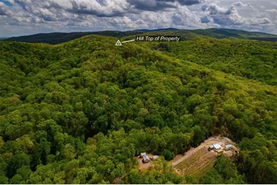 43.91 Old Burnt Mountain, Ellijay, GA 30540 - Photo 5