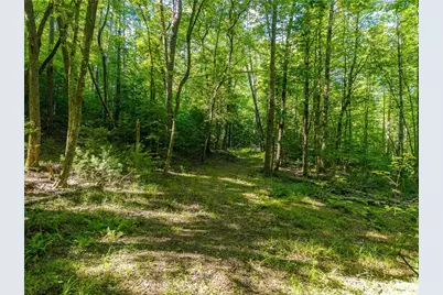 5664 Mobile Road, Blue Ridge, GA 30513 - Photo 79