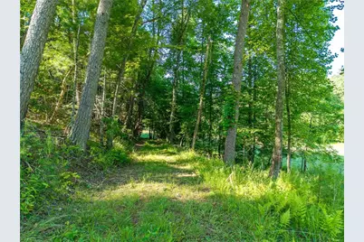 5664 Mobile Road, Blue Ridge, GA 30513 - Photo 75