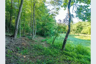 5664 Mobile Road, Blue Ridge, GA 30513 - Photo 77
