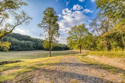 5664 Mobile Road, Blue Ridge, GA 30513 - Photo 57