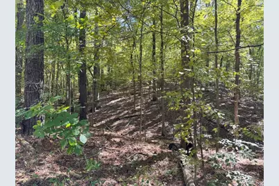 0 Barrington, Covington, GA 30016 - Photo 33
