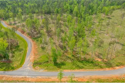 L349 Vineyard At Yukon, Ellijay, GA 30175 - Photo 5