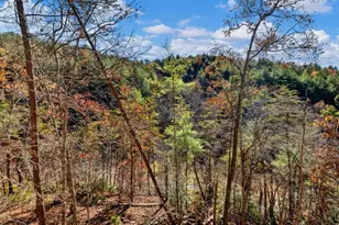 150 Alte Bruecke Strasse, Helen, GA 30545 - Photo 23