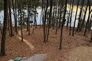 4594 Lakeview Ln, Gainesville, GA 30504 - Photo 3