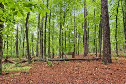 61 Lake Coweta Trail, Newnan, GA 30263 - Photo 47