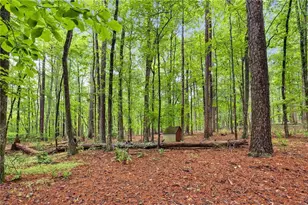 61 Lake Coweta Trail, Newnan, GA 30263 - Photo 47