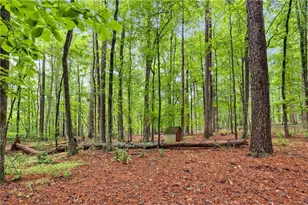 61 Lake Coweta Trail, Newnan, GA 30263 - Photo 53