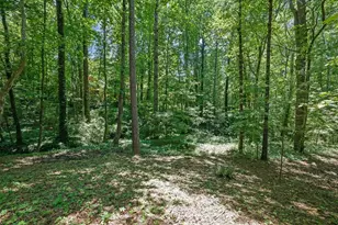 1314 Shadowood Ct, Marietta, GA 30066 - Photo 43