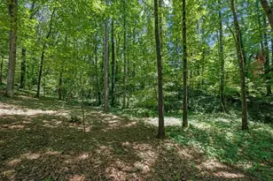 1314 Shadowood Ct, Marietta, GA 30066 - Photo 47