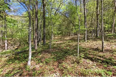 1655 Pardue Mill Road, Demorest, GA 30535 - Photo 49