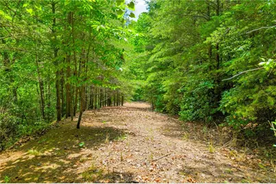 98 Sharp Mountain Parkway, Jasper, GA 30143 - Photo 17